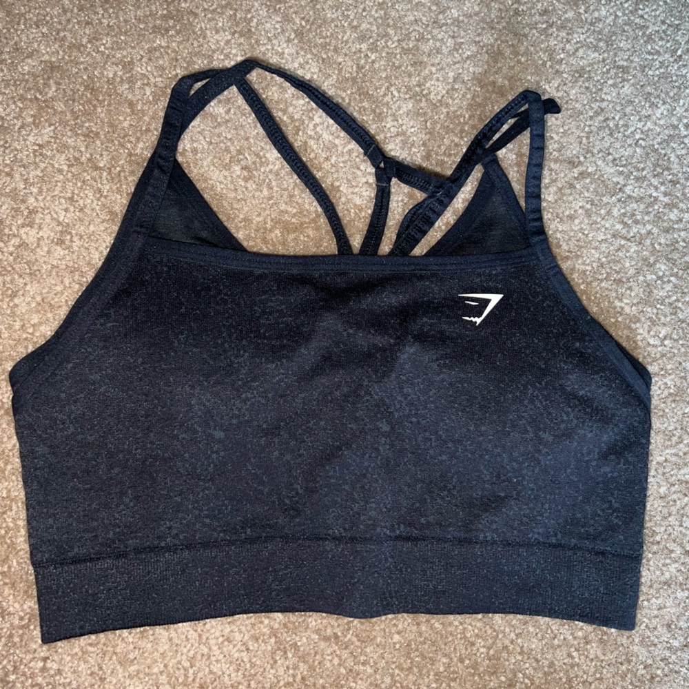 Gym shark 🦈 top